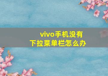 vivo手机没有下拉菜单栏怎么办