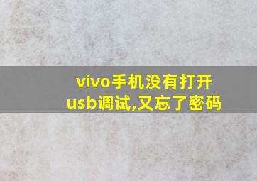 vivo手机没有打开usb调试,又忘了密码