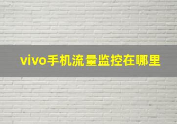 vivo手机流量监控在哪里