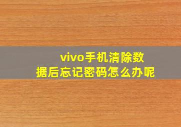 vivo手机清除数据后忘记密码怎么办呢