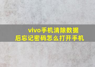 vivo手机清除数据后忘记密码怎么打开手机