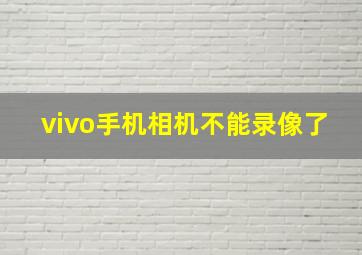 vivo手机相机不能录像了