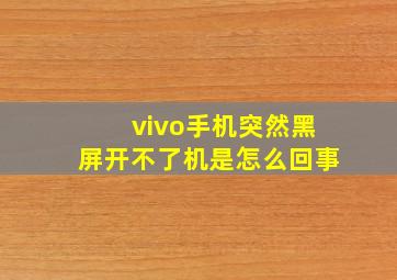 vivo手机突然黑屏开不了机是怎么回事