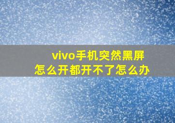 vivo手机突然黑屏怎么开都开不了怎么办