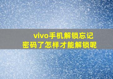 vivo手机解锁忘记密码了怎样才能解锁呢