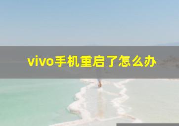 vivo手机重启了怎么办