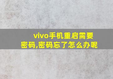 vivo手机重启需要密码,密码忘了怎么办呢