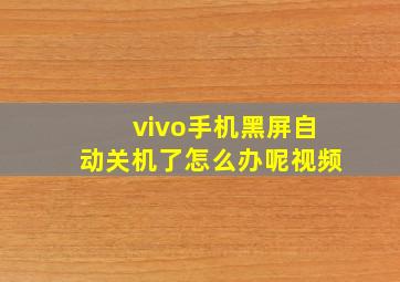 vivo手机黑屏自动关机了怎么办呢视频