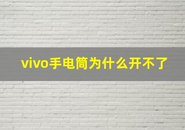 vivo手电筒为什么开不了