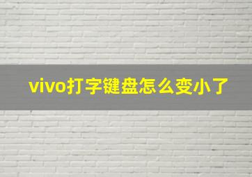 vivo打字键盘怎么变小了