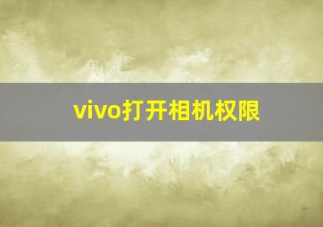 vivo打开相机权限