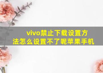 vivo禁止下载设置方法怎么设置不了呢苹果手机