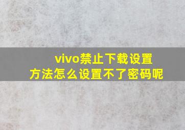 vivo禁止下载设置方法怎么设置不了密码呢