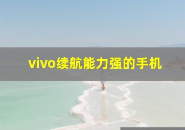 vivo续航能力强的手机