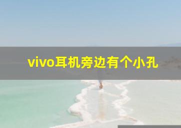 vivo耳机旁边有个小孔