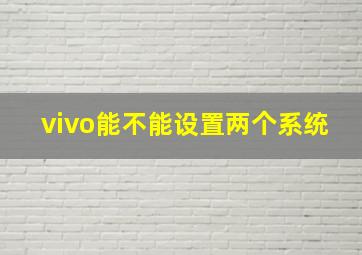 vivo能不能设置两个系统