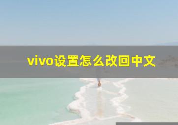 vivo设置怎么改回中文