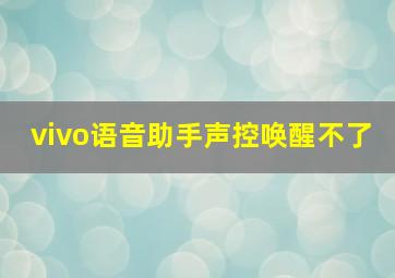 vivo语音助手声控唤醒不了