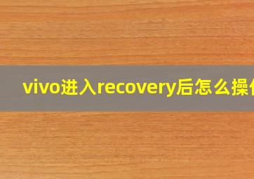 vivo进入recovery后怎么操作