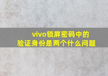 vivo锁屏密码中的验证身份是两个什么问题