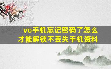 vo手机忘记密码了怎么才能解锁不丢失手机资料