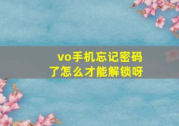 vo手机忘记密码了怎么才能解锁呀