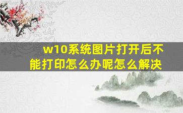 w10系统图片打开后不能打印怎么办呢怎么解决