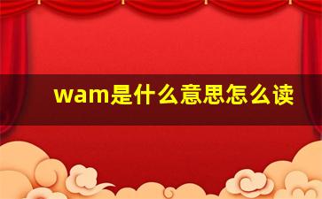 wam是什么意思怎么读