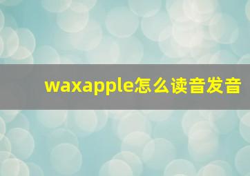 waxapple怎么读音发音