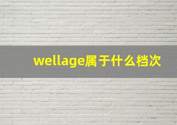 wellage属于什么档次