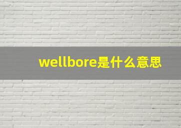 wellbore是什么意思