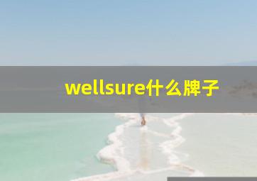 wellsure什么牌子