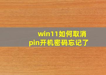 win11如何取消pin开机密码忘记了