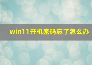 win11开机密码忘了怎么办