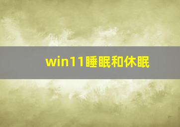 win11睡眠和休眠