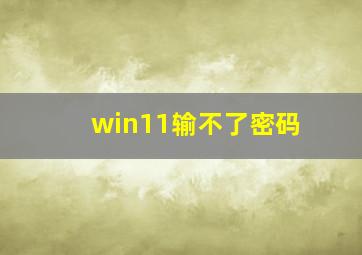 win11输不了密码