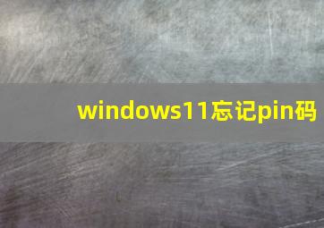 windows11忘记pin码