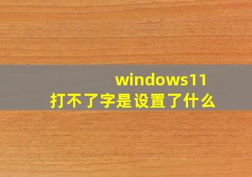 windows11打不了字是设置了什么