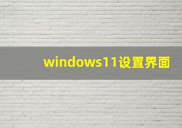 windows11设置界面