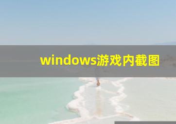 windows游戏内截图