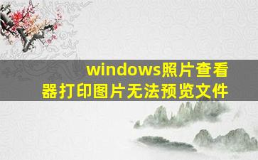 windows照片查看器打印图片无法预览文件