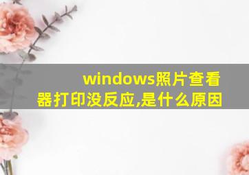 windows照片查看器打印没反应,是什么原因