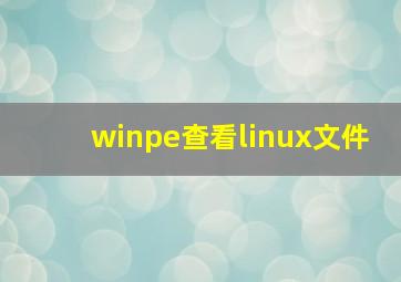 winpe查看linux文件