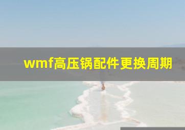 wmf高压锅配件更换周期