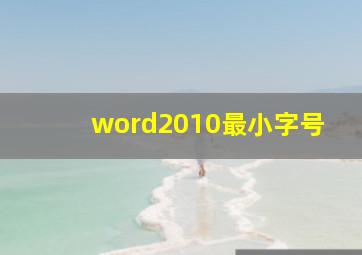 word2010最小字号