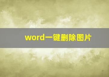 word一键删除图片