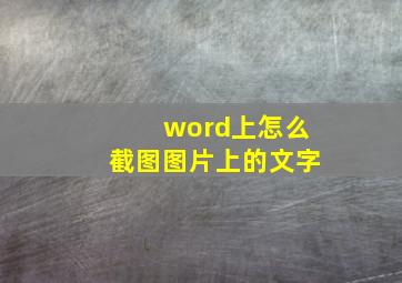 word上怎么截图图片上的文字