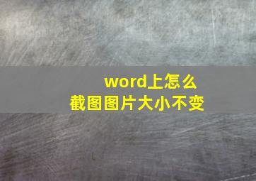 word上怎么截图图片大小不变