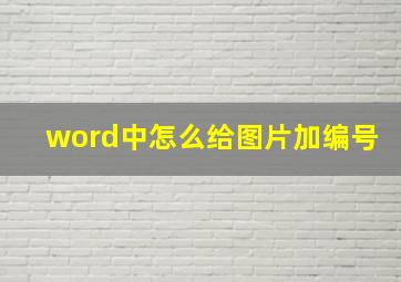 word中怎么给图片加编号