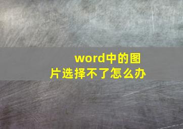 word中的图片选择不了怎么办